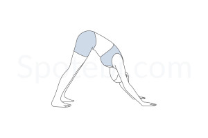 Downward facing dog pose (Adho Mukha Svanasana) instructions, illustration and mindfulness practice. Learn about preparatory, complementary and follow-up poses, and discover all health benefits. https://spotebi.com/exercise-guide/downward-facing-dog-pose/