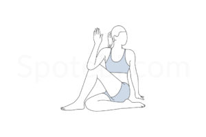 Half lord of the fishes pose (Ardha Matsyendrasana) instructions, illustration, and mindfulness practice. Learn about preparatory, complementary and follow-up poses, and discover all health benefits. https://spotebi.com/exercise-guide/half-lord-of-the-fishes-pose/