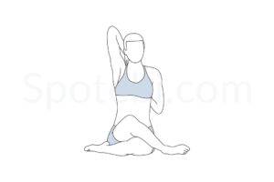 Cow face pose (Gomukhasana) instructions, illustration, and mindfulness practice. Learn about preparatory, complementary and follow-up poses, and discover all health benefits. https://spotebi.com/exercise-guide/cow-face-pose/