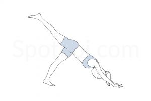 One legged downward dog pose (Eka Pada Adho Mukha Svanasana) instructions, illustration, and mindfulness practice. Learn about preparatory, complementary and follow-up poses, and discover all health benefits. https://spotebi.com/exercise-guide/one-legged-downward-dog-pose/
