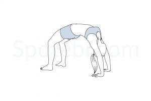 Wheel pose (Urdhva Dhanurasana) instructions, illustration, and mindfulness practice. Learn about preparatory, complementary and follow-up poses, and discover all health benefits. https://spotebi.com/exercise-guide/wheel-pose/